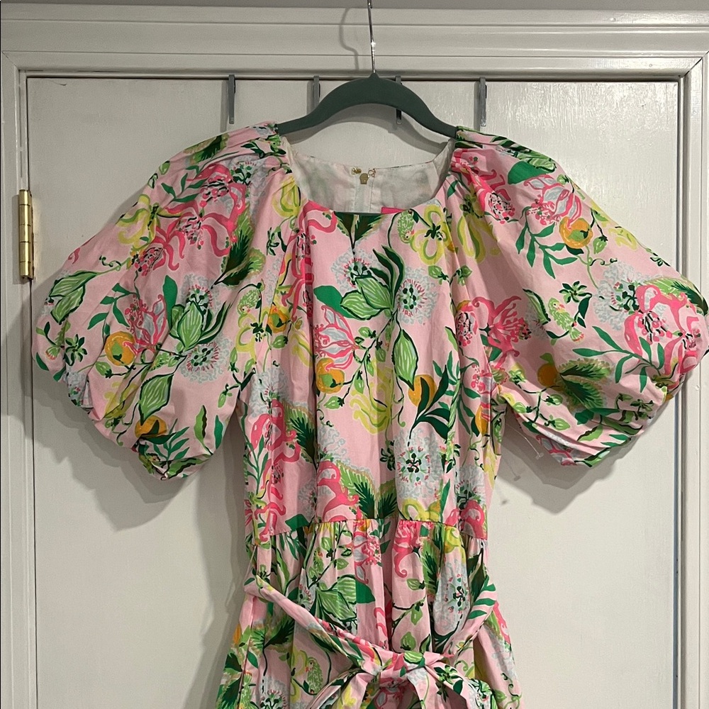 Lilly Pulitzer Knoxlie Elbow Sleeve Dress - Picture 2 of 10